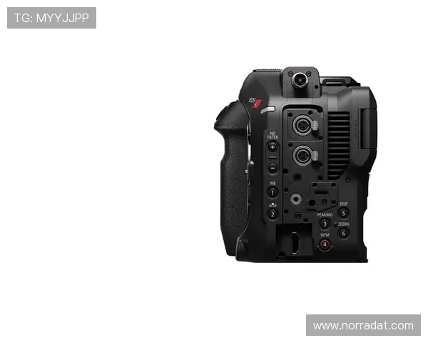 尊龙z6线上手机版安全稳定运行指南,轻松掌握操作技巧