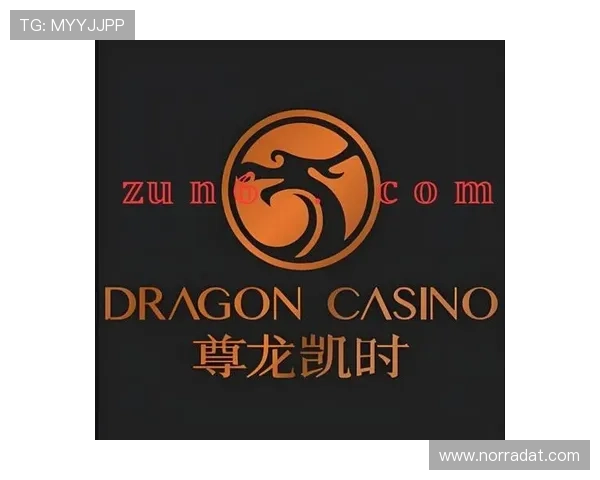 尊龙官网登录入口稳定可靠，保障您的游戏体验无忧无虑