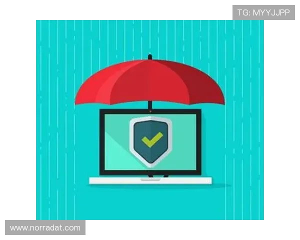 凯时KS国际入口安全登录流程详解,保障您的账号安全与隐私保护