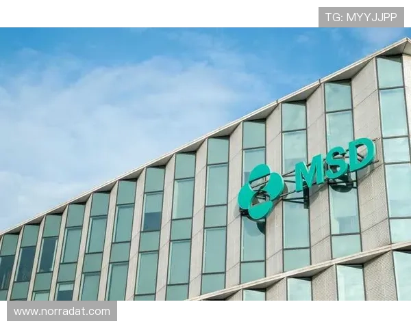 尊龙z6登录页面优化升级，提升用户体验和登录速度的最新措施