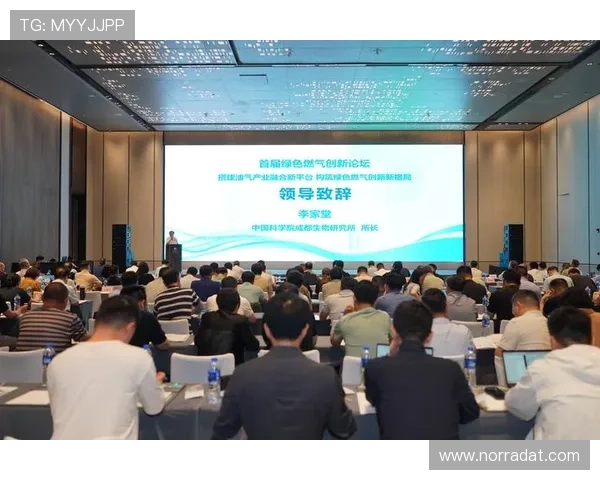 尊龙时凯中国集团人生官网：全面介绍企业发展历程与未来规划